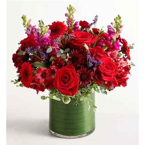 21295_Vivid_Devotion™_LG