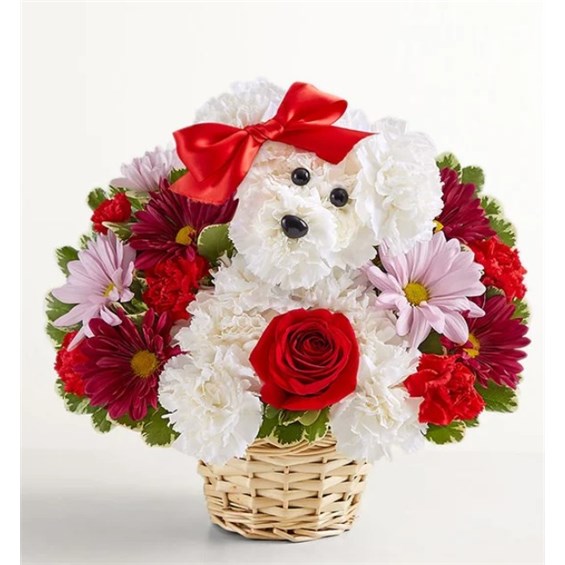 191480_Love_Pup&trade;_Arrangement