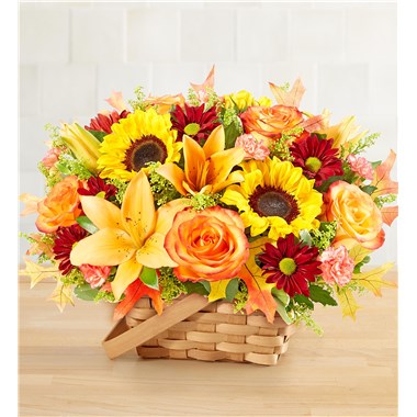 Fields Of Europe® For Fall Basket