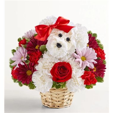 191480_Love_Pup&trade;_Arrangement